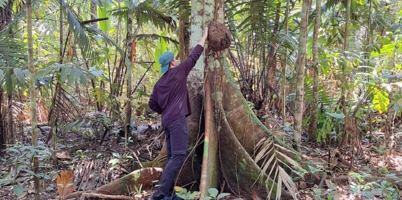 Iquitos: 2 days in the Amazon, a natural wonder of the world - Key Points
