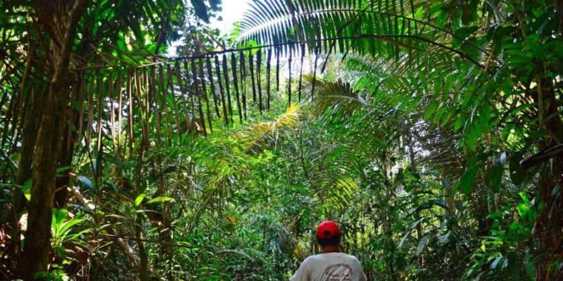 Iquitos: 2 days in the Amazon, natural wonder of the world - Who Should Consider This Tour?