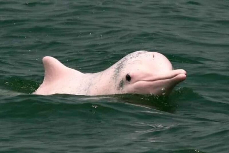 Iquitos || 2D in the Amazon, a natural wonder of the world - Key Points