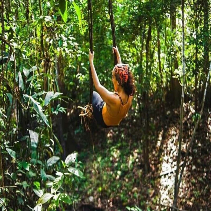 Iquitos: 3-Day Jungle Wildlife Adventure with Accommodation - Key Points