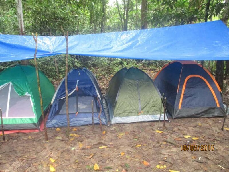 Iquitos: 4-Day Amazon Wildlife Tour in Pacaya Samiria - Exploring the 4-Day Amazon Wildlife Tour in Pacaya Samiria