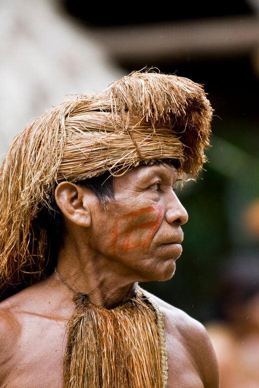 Iquitos : Amazon Jungle Full Day Excursion - Value and Who Should Consider This Tour