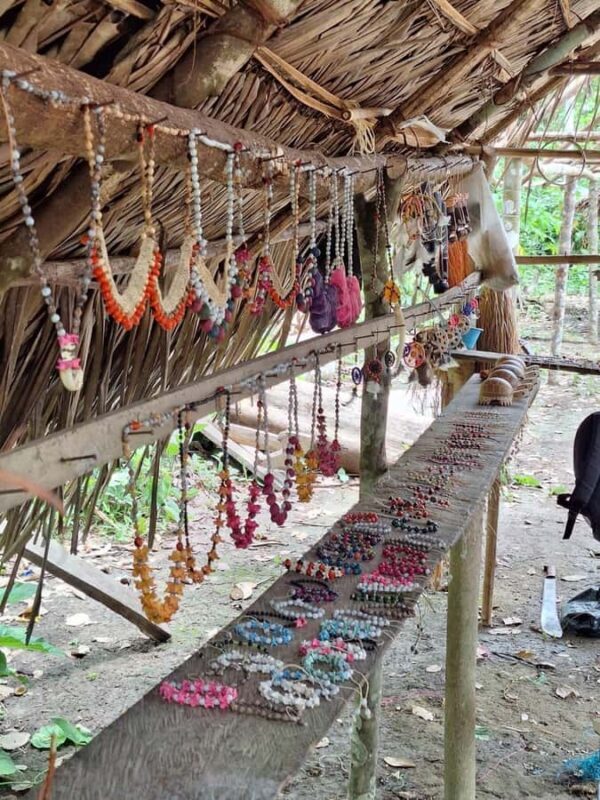 Iquitos: Amazon River Tribes Full-Day Tour with Lunch - The Sum Up