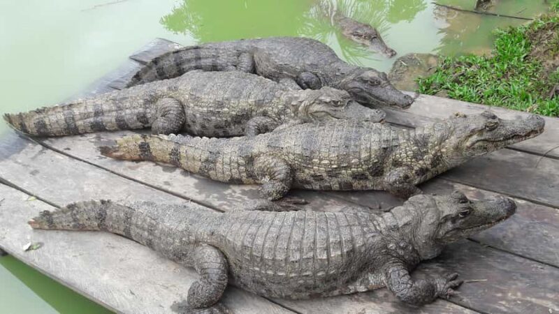 Iquitos: Amazonas 3 days 2 nights in Lodge and activities - A Closer Look at the Itinerary