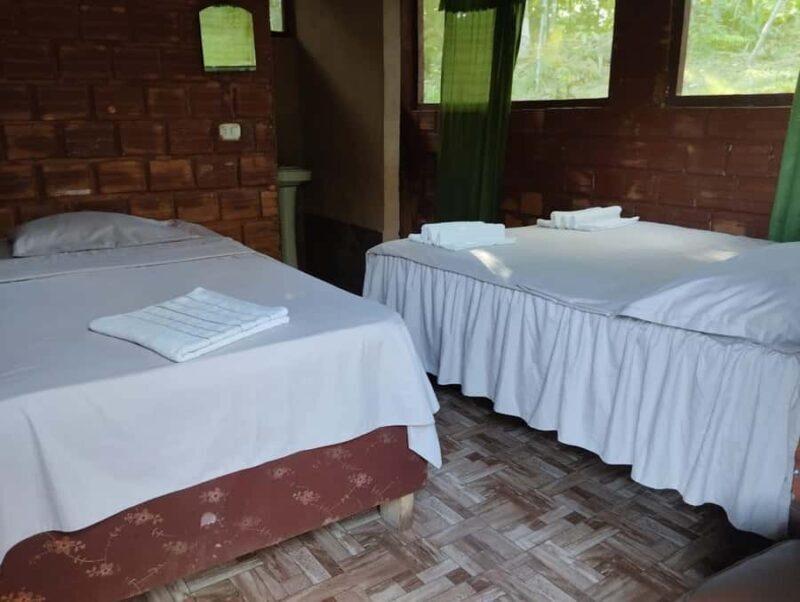 Iquitos: Amazonas 3 days 2 nights in Lodge and activities - Is This Tour Right for You?