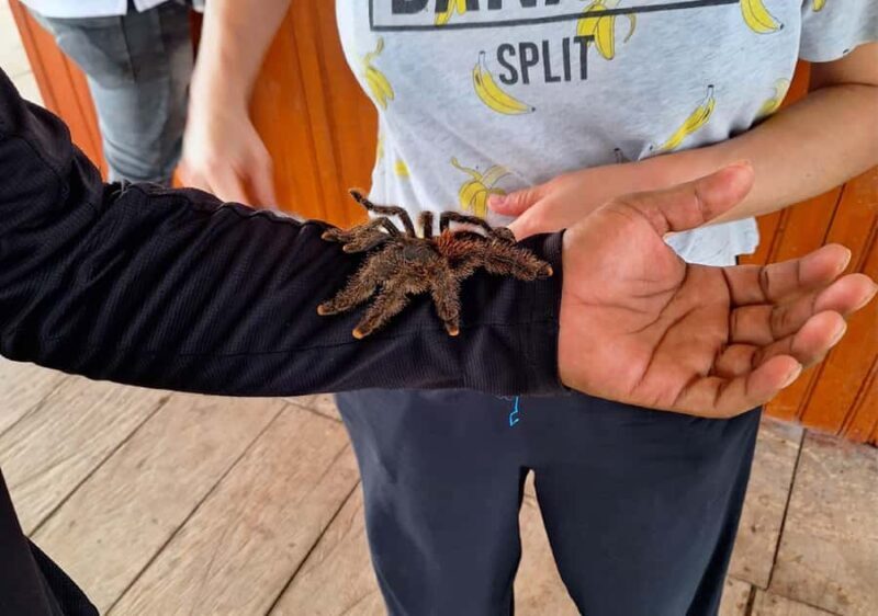 Iquitos: Amazonian Adventure in 2 Days - Key Points