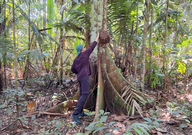 Iquitos: Amazonian Adventure in 2 Days - Returning to Iquitos
