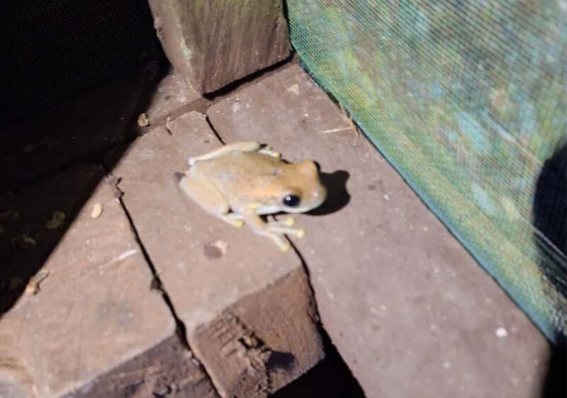 Iquitos: Amazonian Adventure in 2 Days - Who should consider this tour?