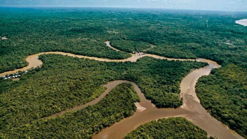 Iquitos : Full Day Amazon River Excursion - Starting the Adventure: From Hotel to the River