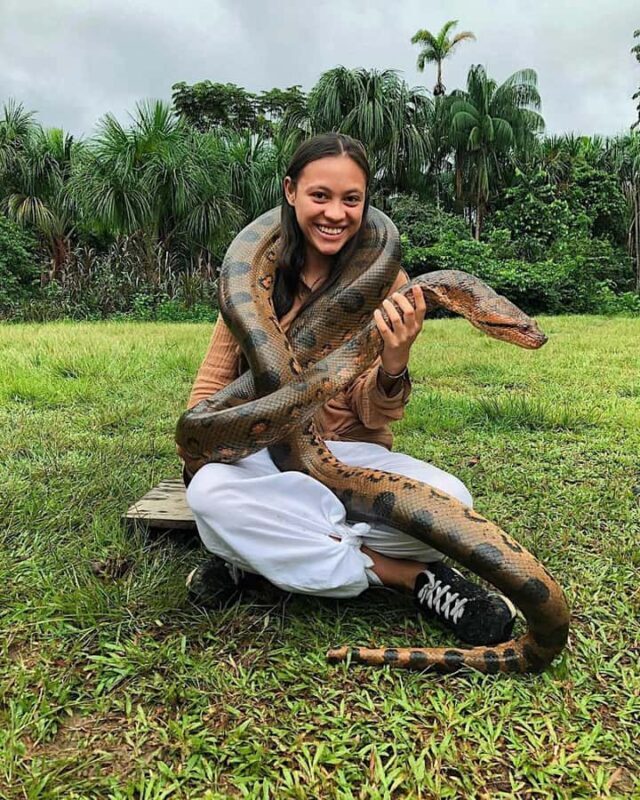 Iquitos: Full Day Tour in the Jungle | Amazon Safari - FAQ