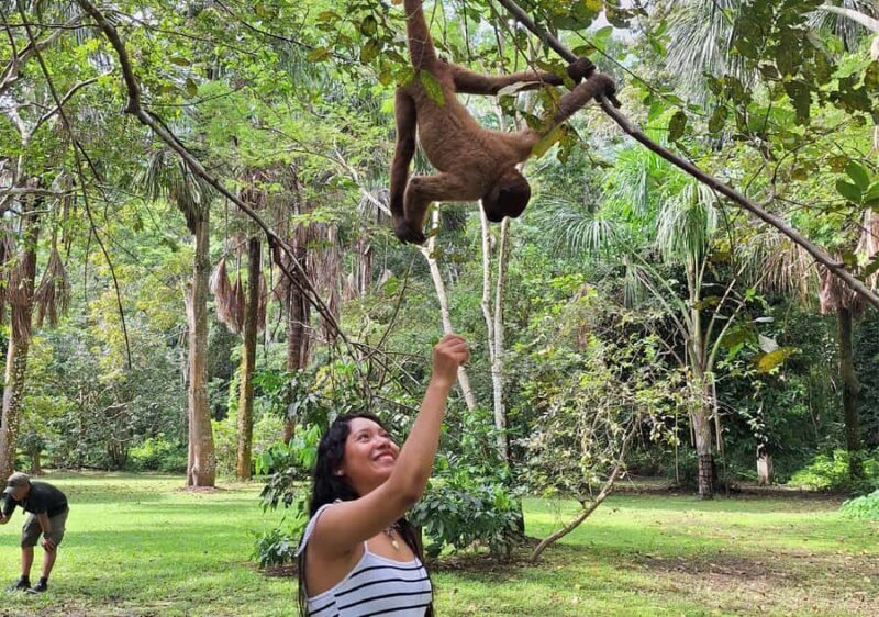 Iquitos: Full Day | Visit to Monkey Island (Official) - The Practicalities: What You Should Know