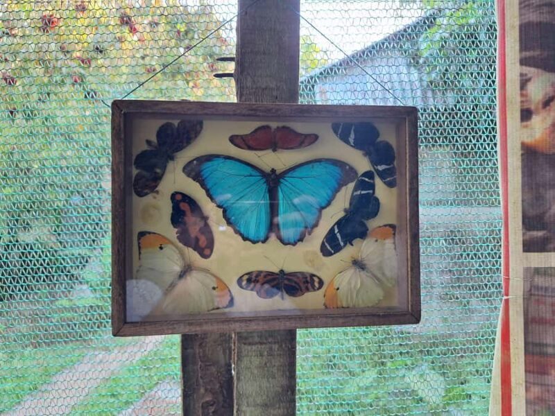 Iquitos: Pilpintuwasi Butterfly Farm and Native Communities - Wrapping Up the Day