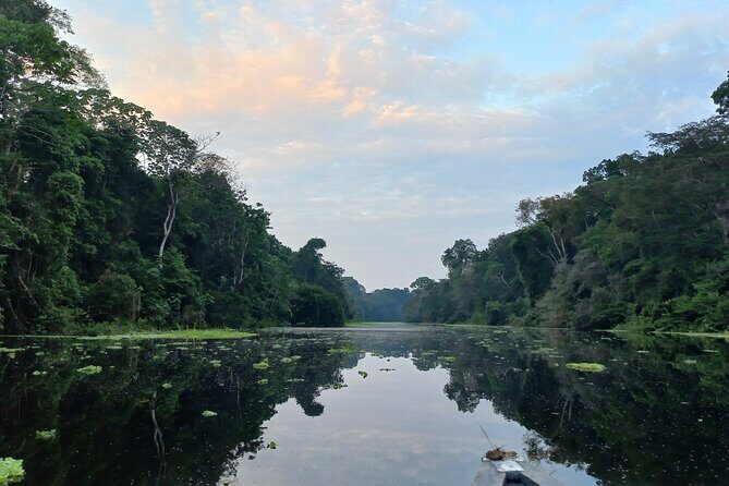 Iquitos: Secret to Black River | Full Day - A Closer Look at the Amazon Tour from Iquitos
