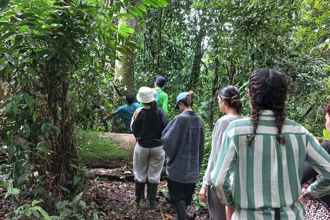 Iquitos: Secret to Black River | Full Day - Practicalities and Tips for Your Amazon Adventure