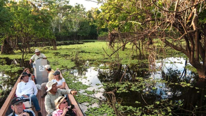 Iquitos: Tour of the northern Amazon in 3 days - Setting the Scene: What Makes This Tour Stand Out?