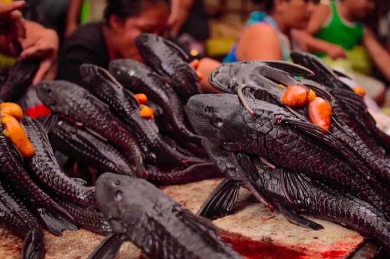 Iquitos: Visit the Exotic Belén Market + Venice Loretana - FAQs