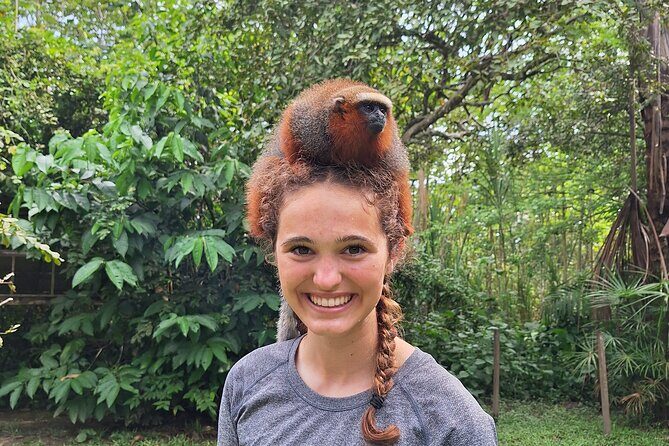 Iquitos: Visit to the authentic Monkey Island | Full Day - Key Points