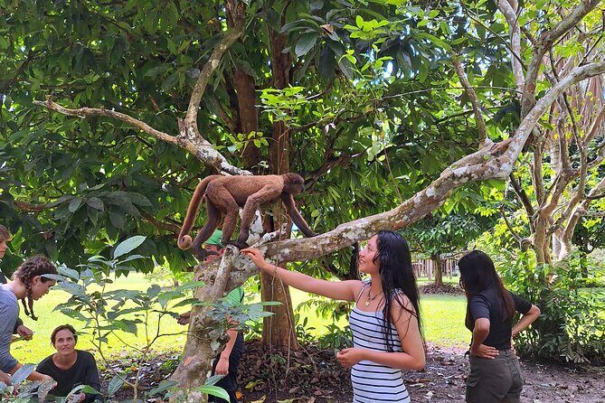 Iquitos: Visit to the authentic Monkey Island | Full Day - The Sum Up