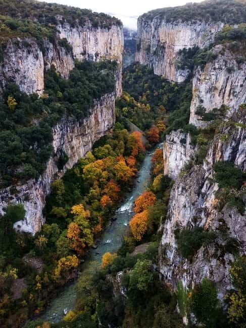 Irati Forest and Ochagavía Excursion - Is This Tour Worth It?