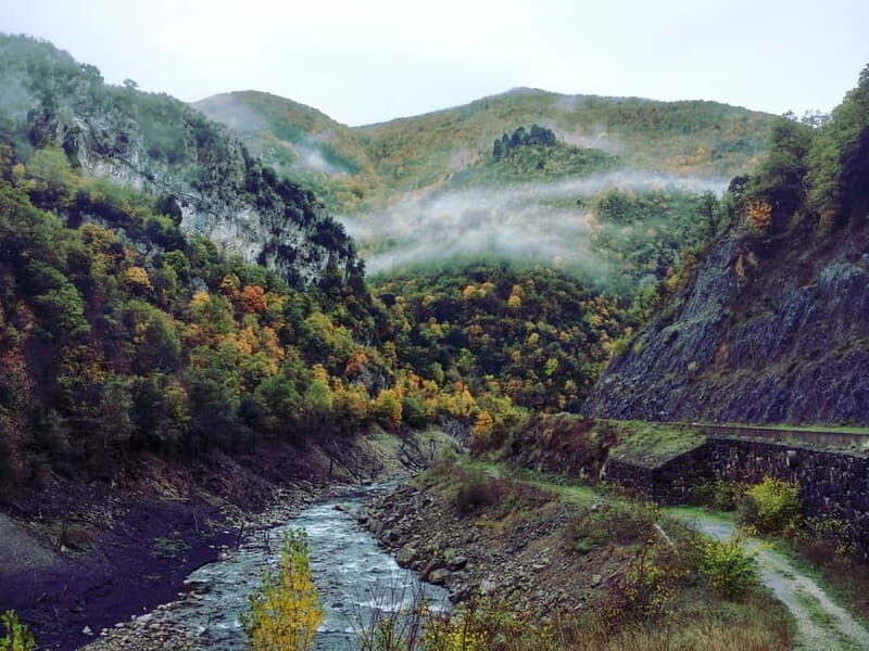 Irati Forest and Ochagavía Excursion - FAQ