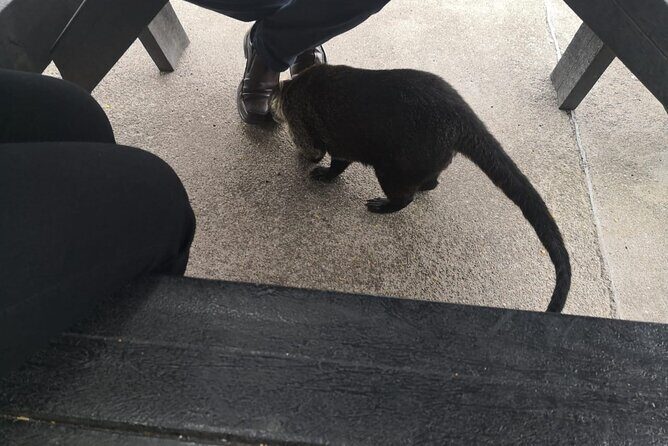 Irazu Volcano and Cartago Hiking from San Jose - Transportation and Logistics