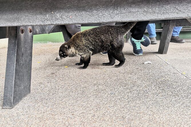 Irazu Volcano and Cartago Hiking from San Jose - Final Thoughts: Is This Tour Worth It?