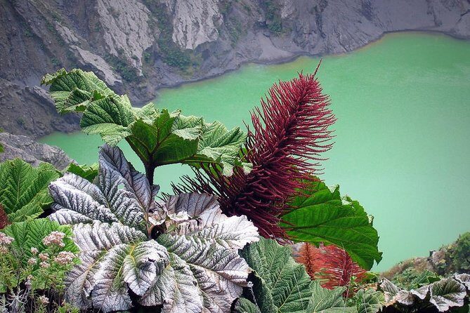 Irazú Volcano Half Day Tour from San Jose - A Deep Dive into the Irazu Volcano Half Day Tour