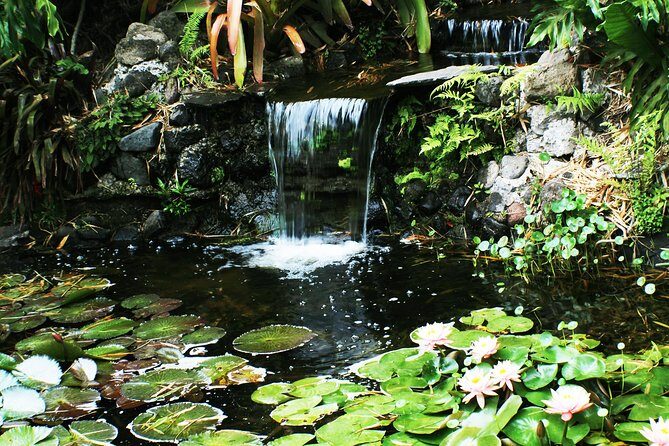 Irazu Volcano Orosi & Lankester Full Day with Lunch from San Jose - Final Thoughts