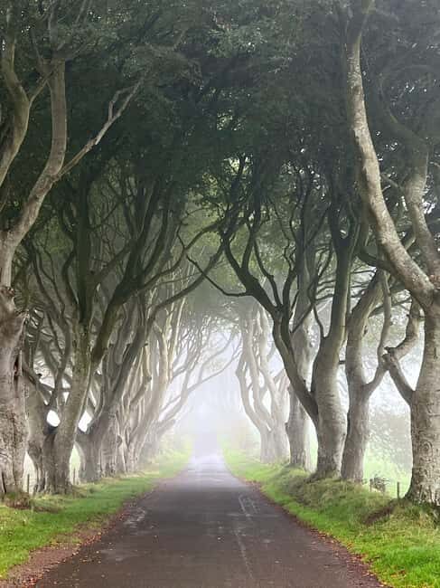 Ireland: Belfast City and Giants Causeway Tour - A Well-Structured Day in Northern Ireland