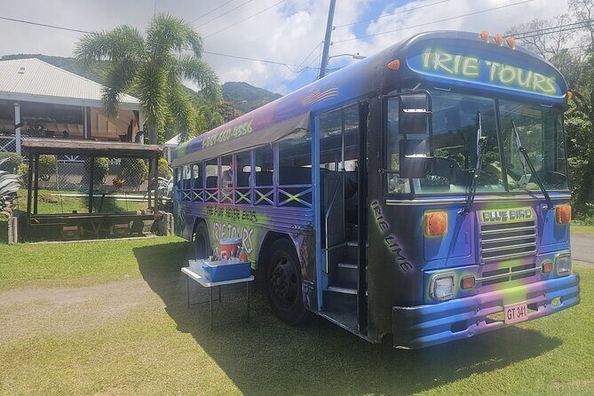 Irie Vibe Open Air Scenic Adventure - What Makes This Tour Stand Out?