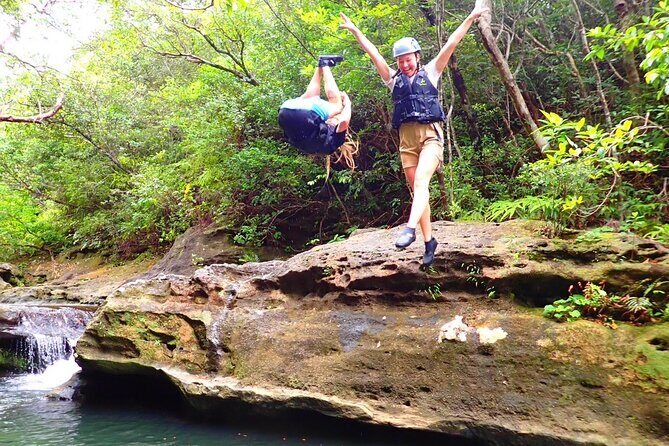 Iriomote Island 1 Day Canyoning & Yubu Island Sightseeing - An In-Depth Look at the Tour Experience