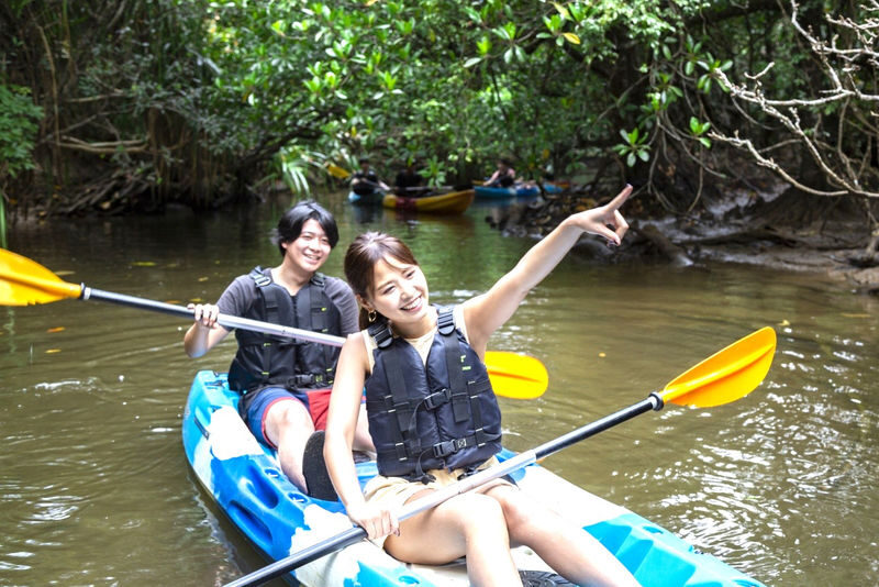 Iriomote Island: Barasu Island Snorkeling & Mangrove SUP or Canoe 1-Day Experience (Okinawa) - A morning paddle among Iriomote’s mangroves