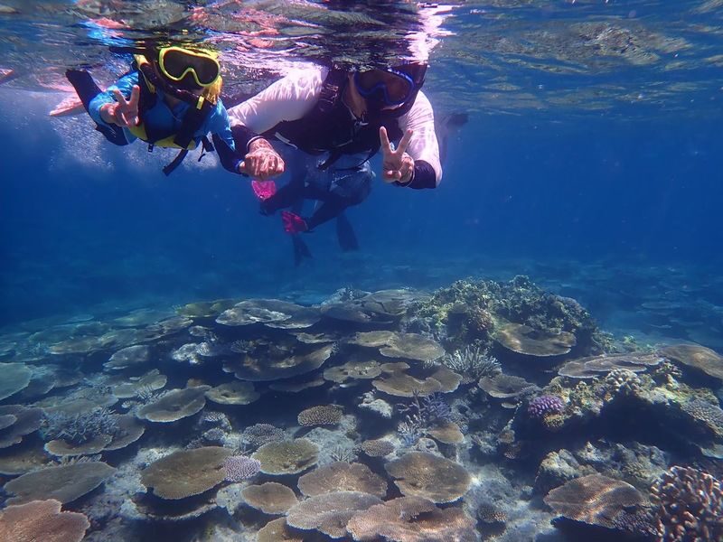 Iriomote Island: Barasu Island Snorkeling & Mangrove SUP or Canoe 1-Day Experience (Okinawa) - Who should book this outing