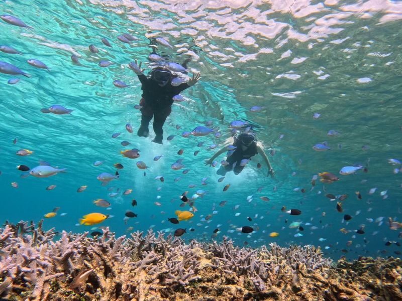 Iriomote Island: Barasu Island Snorkeling & Mangrove SUP or Canoe 1-Day Experience (Okinawa) - Practical details before you set out