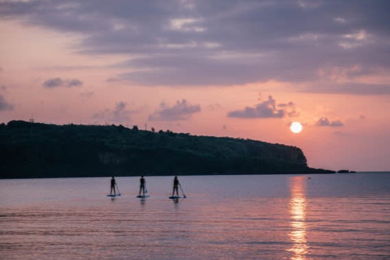 Iriomote Island: Choice of Sunset SUP or Canoe Tour (Okinawa) - Is the $49.85 starting price fair?