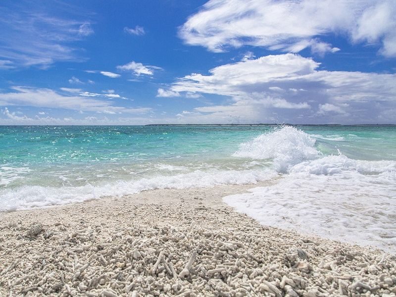 Iriomote Island: Half-Day Barasu Island Boat Snorkeling Experience (Okinawa) - Getting to the meeting point and preparing
