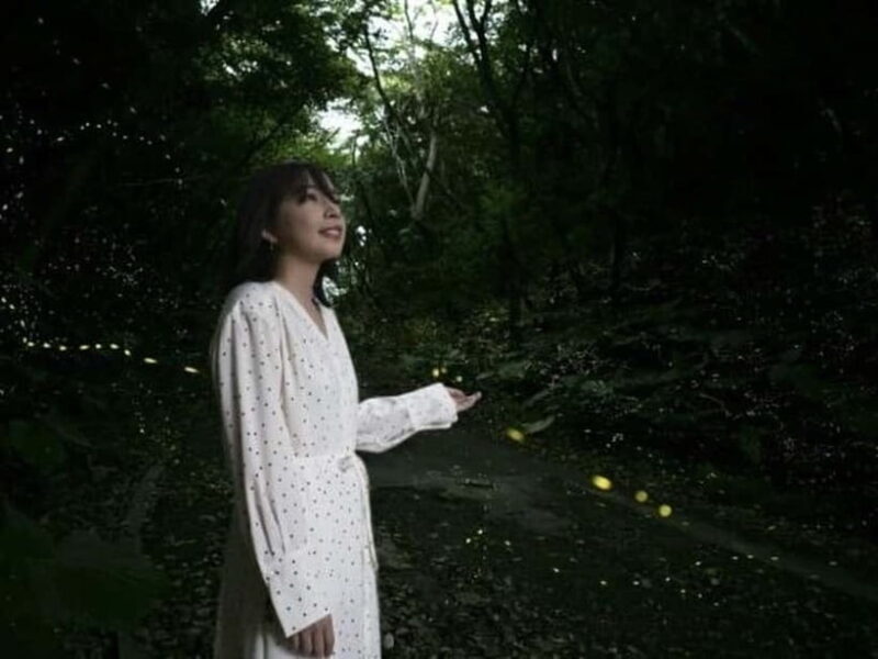 Iriomote Island Limited Time Yaeyama Firefly Viewing Tour - Why This Experience Is Worth Considering