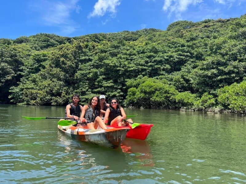 Iriomote island: Mangrove River SUP or Canoe Cruising Tour - Key Points