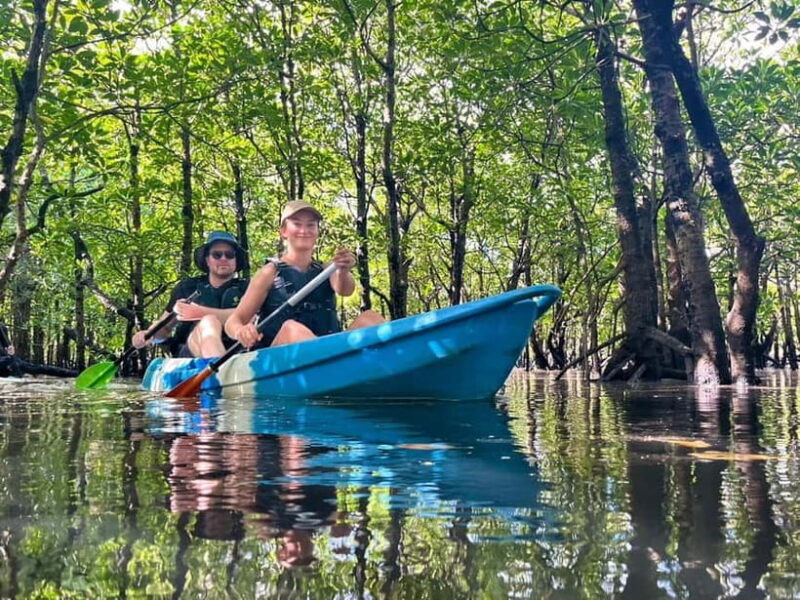 Iriomote island: Mangrove River SUP or Canoe Cruising Tour - The Sum Up