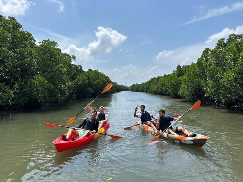 Iriomote island: Mangrove River SUP or Canoe Cruising Tour - FAQ