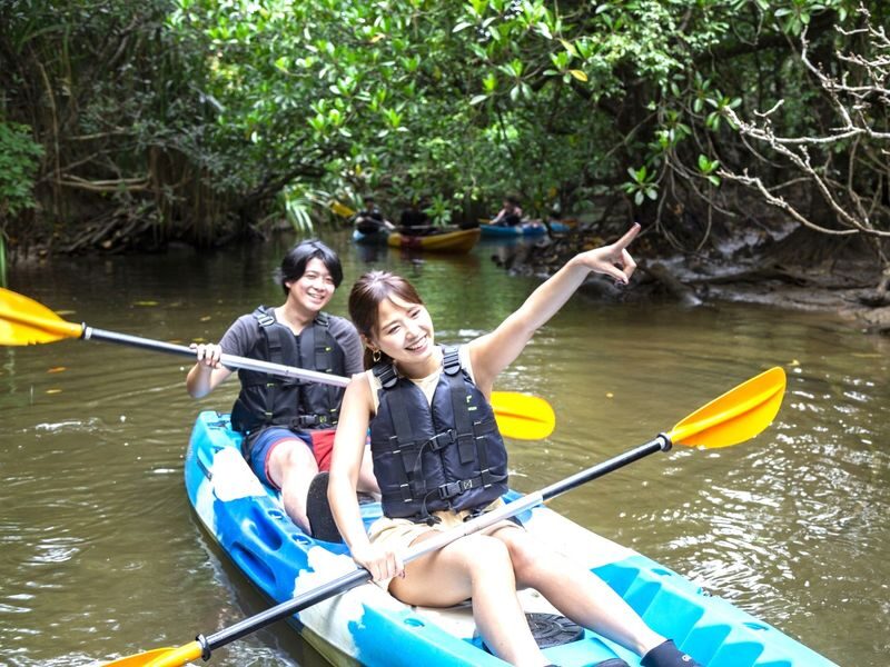 Iriomote Island Mangrove SUP or Canoe Half-Day Experience (Okinawa) - At a glance