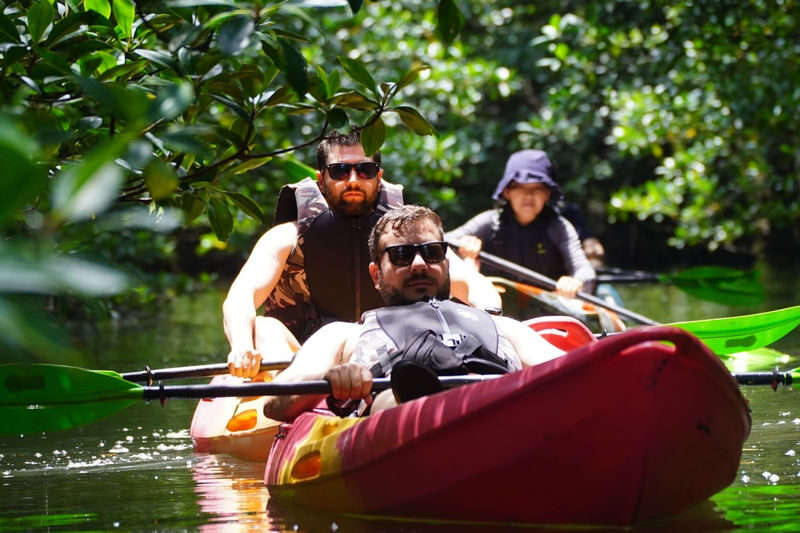 Iriomote Island Mangrove SUP or Canoe Half-Day Experience (Okinawa) - A paddle through Iriomote’s subtropical waterways