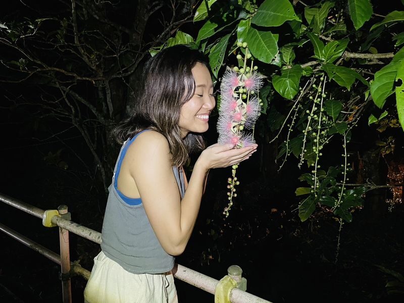 Iriomote Island Phantom Flower "Sagaribana" Viewing Tour: A Mysterious and Spectacular View that Blooms at Night and Scatters in the Morning [Limited Time: June to August] - Key points before you book