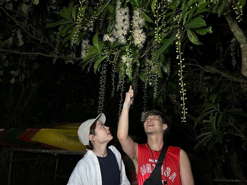 Iriomote Island Phantom Flower "Sagaribana" Viewing Tour: A Mysterious and Spectacular View that Blooms at Night and Scatters in the Morning [Limited Time: June to August] - Who should choose this Iriomote night tour