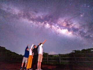 Iriomote Island Stargazing & Jungle Night Tour (Okinawa) - A different side of Iriomote after sunset