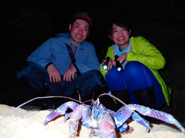Iriomote Island Stargazing & Jungle Night Tour (Okinawa) - Looking up at Iriomote’s night sky