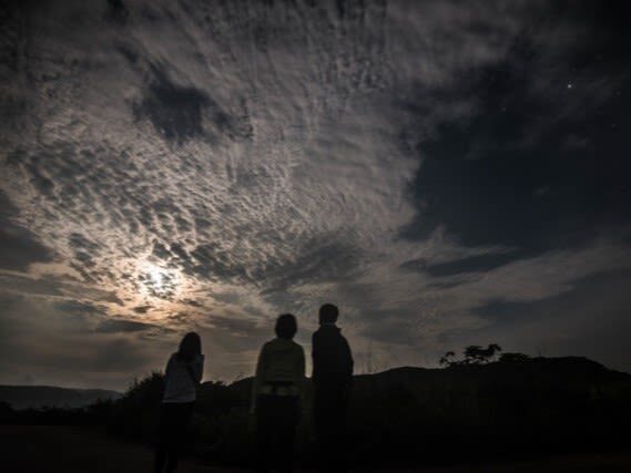 Iriomote Island Stargazing & Jungle Night Tour (Okinawa) - Rain, footwear, and what to bring