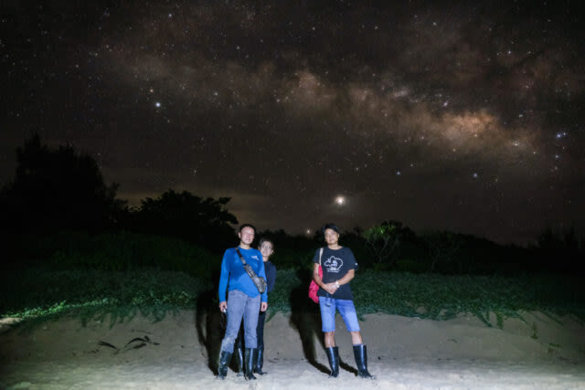 Iriomote Island Stargazing & Jungle Night Tour (Okinawa) - Who will enjoy this night walk