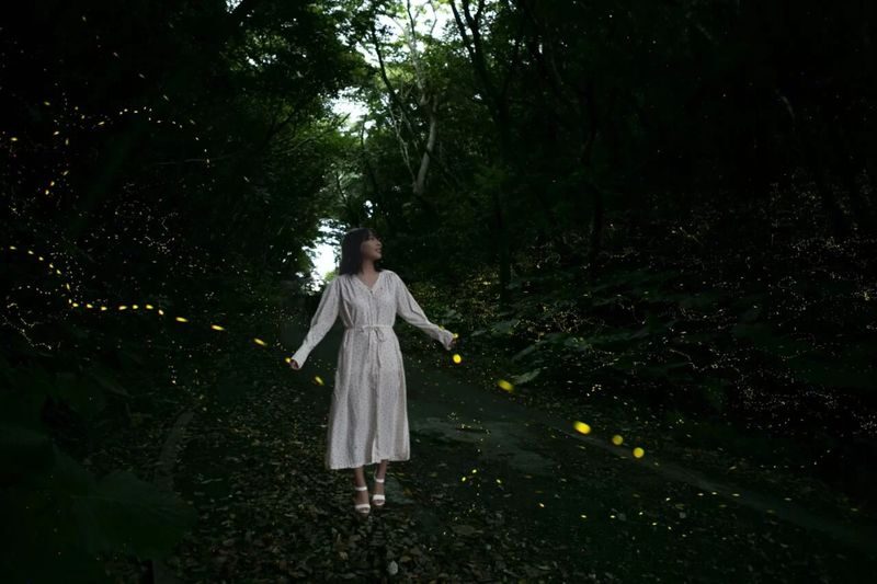 Iriomote Island: Sunset & Yaeyama Hime Firefly Watching Tour [Limited Time: March - May] - A short season for a small, glowing spectacle