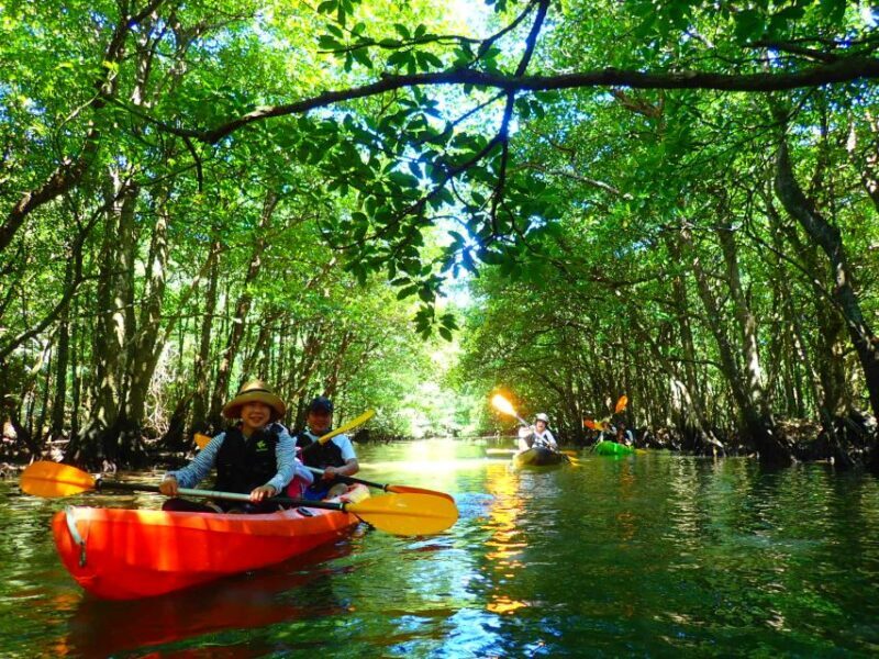 Iriomote Island: SUP or Canoeing and Canyoning Tour - Key Points
